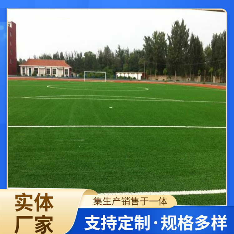 乌鲁木齐市EPDM颗粒人造草坪 - 厂家